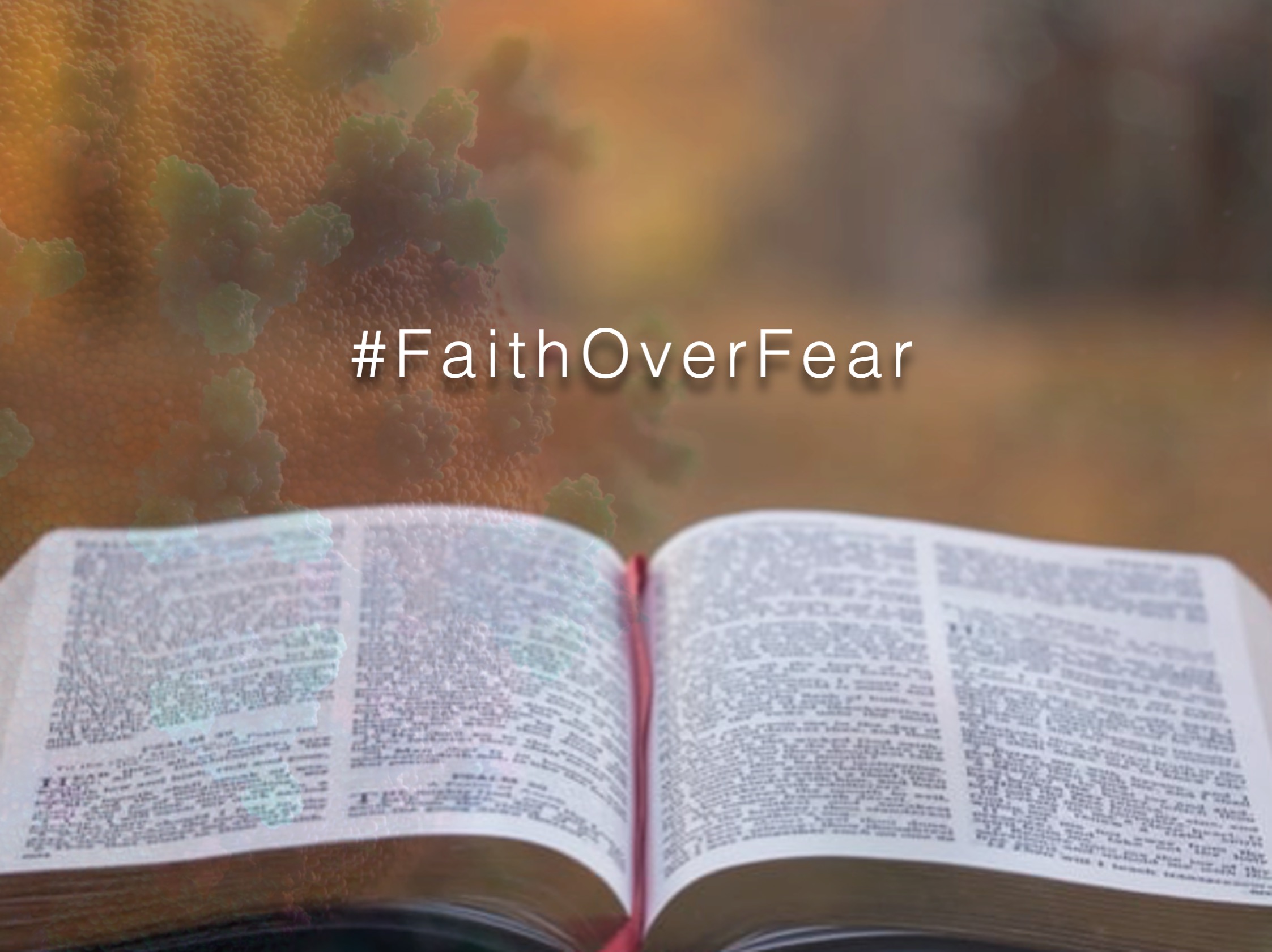 Faith Over Fear - Quiet Time Resources